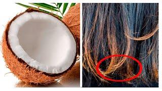 Como Eliminar Puntas Secas de Tu Cabello con Aceite | Cabello Reseco #CabelloSecoyMaltratado