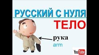 Русский с нуля. Части тела на русском для иностранцев. ТЕЛО. russian language lessons