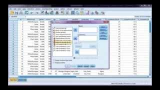 Cross tabs in SPSS