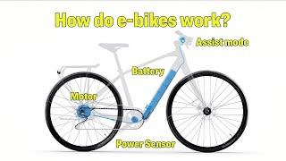 How Electric Bikes work