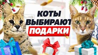 Новогодняя вечеринка у котиков  Реакция котов на ёлку и подарки 