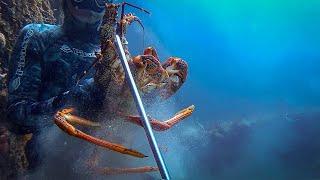 The BIGGEST Lobster Ever Caught On Camera South Australia!