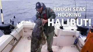 Catching Huge Halibut off Vancouver Island