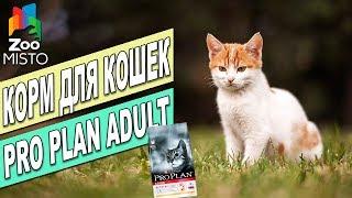 Корм для взрослых кошек Пурина Про План | Обзор корма для котов | Purina Pro Plan Adult Cat review