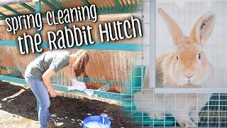 Spring cleaning the rabbit hutch (Silver Fox & Creme d'Argent meat & show rabbits)