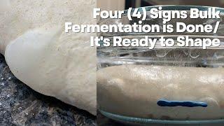 The four (4) signs bulk fermentation is done/dough is ready to shape