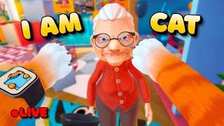  I Am Cat VR - LIVE