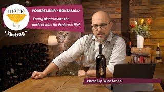 Sangiovese | Podere Le Ripi - Bonsai  | Wine Tasting with Filippo Bartolotta