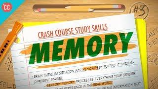Memory: Crash Course Study Skills #3