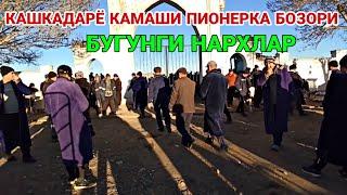 БУГУНГИ НАРХЛАР! КАШКАДАРЁ КАМАШИ ПИОНЕРКА МОЛ БОЗОРИ НАРХЛАРИ 10 ДЕКАБРЬ 2021 QAMASHI PIONERKA