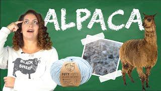 Why do people love Alpaca Yarn so much? - Yarn University #10