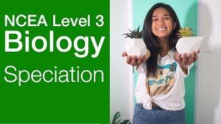 Speciation | NCEA Level 3 Biology Strategy Video | StudyTime NZ