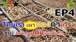 ทองคำดำ Black Gold EP4 ไทยเผาทองคำ"ดำ"ทิ้งมากแปลงขยะ ของทิ้ง เป็นไบโอชา Biochar ได้ โดย ไร่5ดาว