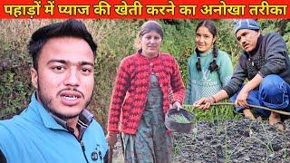 पहाड़ों में प्याज की खेती ऐसे होती है ।। Pahadi Lifestyle Vlog ।। Namaste Pahad ।। Ashutosh Negi