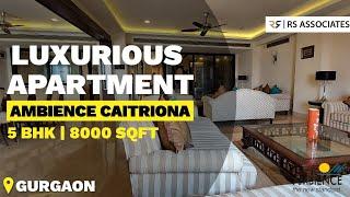 Luxury Apartments In Gurgaon | Ambience Caitriona Gurgaon | Just Behind Ambience Mall