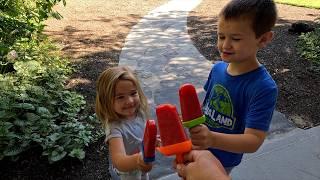 Planting Annuals, Lifting Tulip & Daffodil Bulbs for Storage & Strawberry Popsicles! 