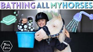 Bathing All of My HORSES! Spring Clean AD | This Esme