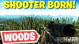 Escape From Tarkov PVE - The BEST Spots To Get Your Shooter Born In Heaven Kills On WOODS!