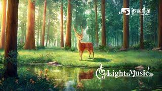 Light Music | 3 hours of spiritual music, admiring the stream, be quiet before God