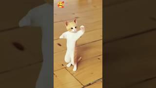 Dum dum dika dika #catdance #viral #shorts