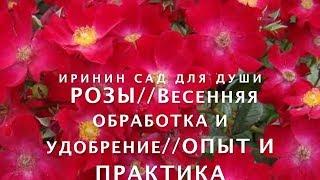 РОЗЫ//Весенняя обработка и удобрение роз//Опыт и практика.