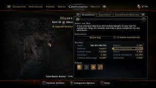 Neverwinter- How Important Are Your Companions Mod 19