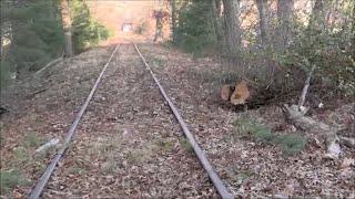 Dormant industrial rail line cleared of brush - Millis, MA - 12/2024