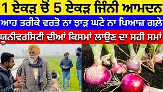 Onion farming in Punjab ਪਿਆਜ਼ ਦਾ ਚੰਗਾ ਝਾੜ ਲੈਣ ਲਈ ਕੀਮਤੀ ਜਾਣਕਾਰੀ 25 ਸਾਲ ਦਾ ਤਜ਼ਰਬਾ