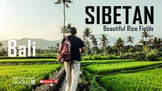 Hijaunya Sawah Desa Sibetan Bali | wisata Bali Timur Pesona Alami Desa Indonesia