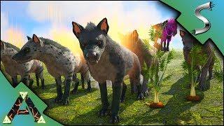 HYAENODON TAMING! BREEDING UP A LITTLE WAR PACK! - Ark: RAGNAROK [DLC Gameplay E10]