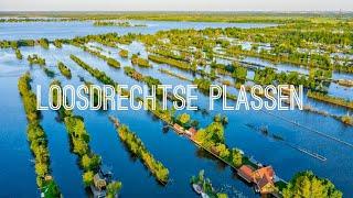 Loosdrechtse Plassen | Drone 4K