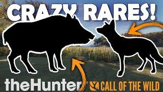 HIRSCHFELDEN Has the CRAZIEST RARES!!! - Call of the Wild