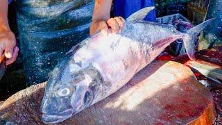 MASTERING ACEHNESE TREVALLY FISH CUTTING TECHNIQUES || FISH CUTTING FOR STEAK 