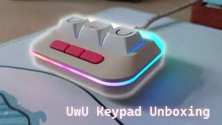 UwU Wooting Keypad Unboxing + Setup and install