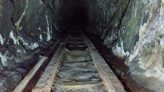 Relics and Critters Found Deep Inside a Flooded Gold Mine