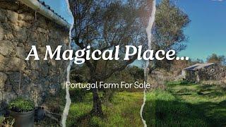 Cute Farm + Magical Woody Hilltop For Sale in Portugal