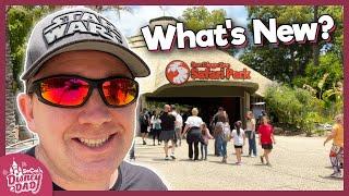 What's NEW at the San Diego Zoo Safari Park? | SUMMER 2023