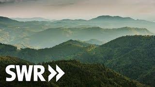 Tausender im Schwarzwald - Gipfel und ihre Geschichten | SWR Geschichte & Entdeckungen