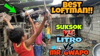 KARERA NG MGA BATANG LOFTMAN!! | TATLONG KALAPATI ANG PANG LABAN!!