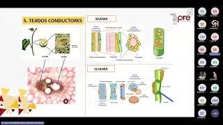 Biología - Semana 05 - Maratón Académica Pre San Marcos Ciclo 2024-II (Nuevo Ciclo)