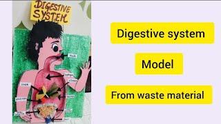 digestive system from waste material | model of digestive system| school model| school project