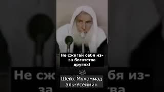 Не сжигай себя!Делай это дуа и все наладится!Шейх Мухаммад аль Усеймин #шортс #напоминание #коран