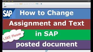 How to Change Assignment & Text in SAP posted document
