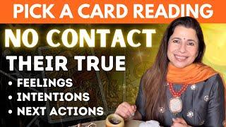 ‍️ No Contact: Their True Feelings, Intentions & Actions  | Timeless #PickACard #TarotReading