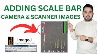 How to add a scale bar to camera or scanner images | Image J software