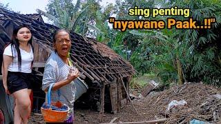 Bekas puing-puing Tsunami darat banjir bandang pedesaan Gondang petang jelang malam mengharukan.