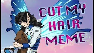 [[Cut My Hair - Meme]]