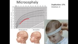 16p11.2: Neurological Findings