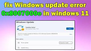 How to fix Windows update error 0x8007000e in windows 11