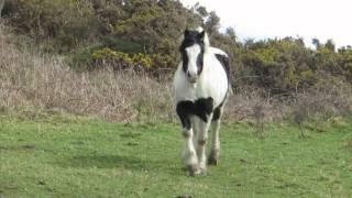 Knockbaun and Coolacloy Kingstown & Streamstown Bays - CLIFDEN GALWAY